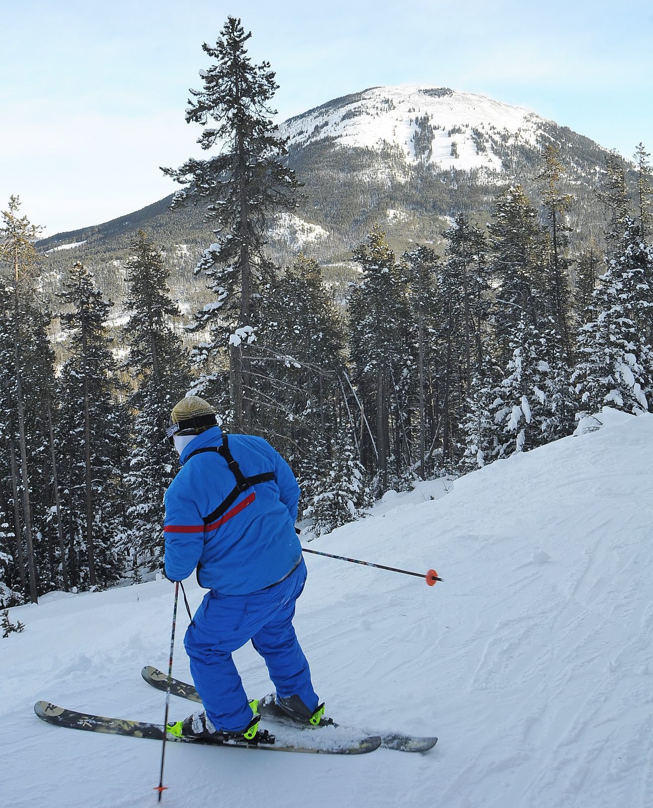 Baldy Mountain